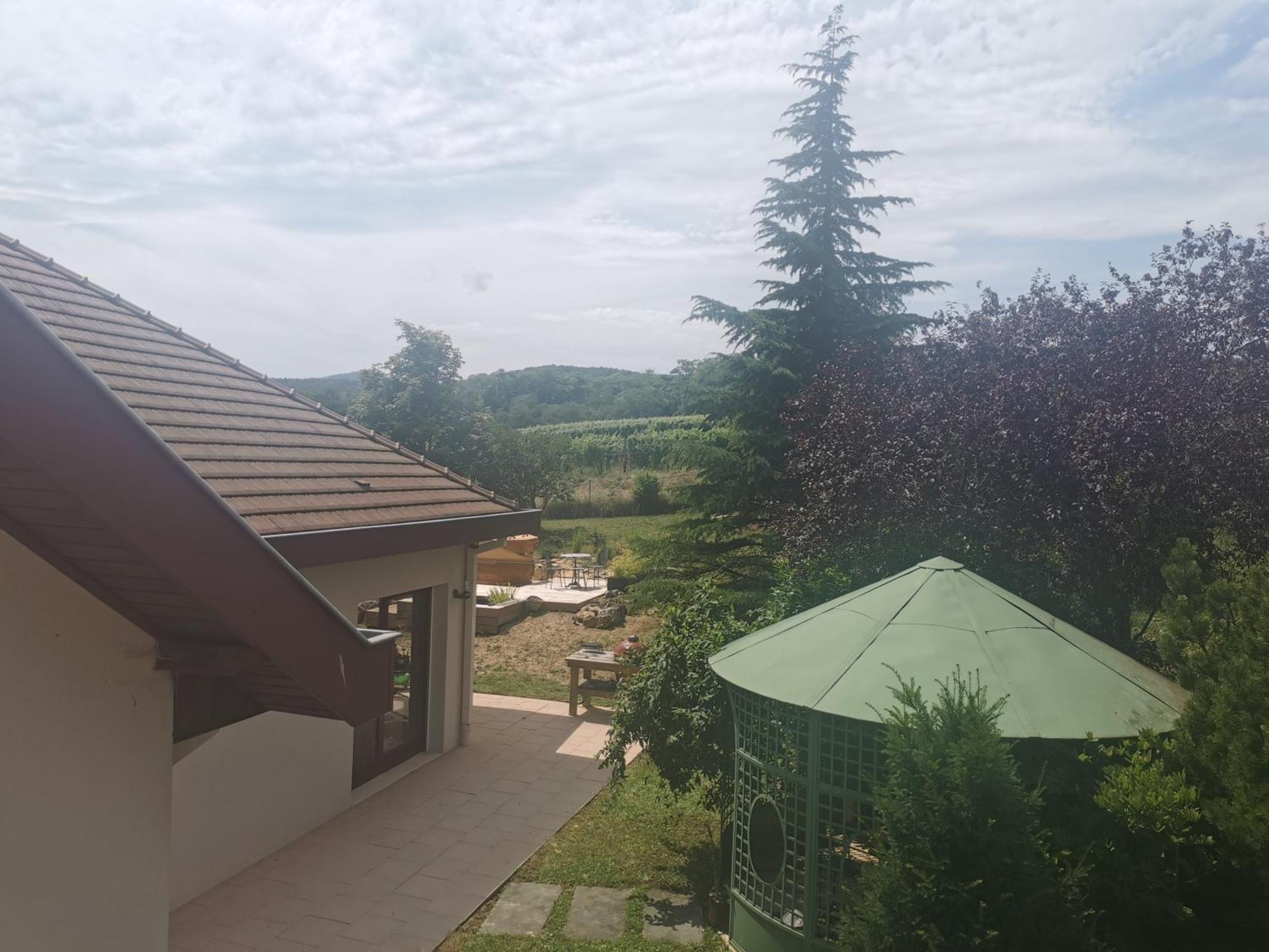 Studio Spacieux, Route Des Vins Rosheim Exterior foto